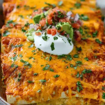 Easy Chicken Enchilada Recipe