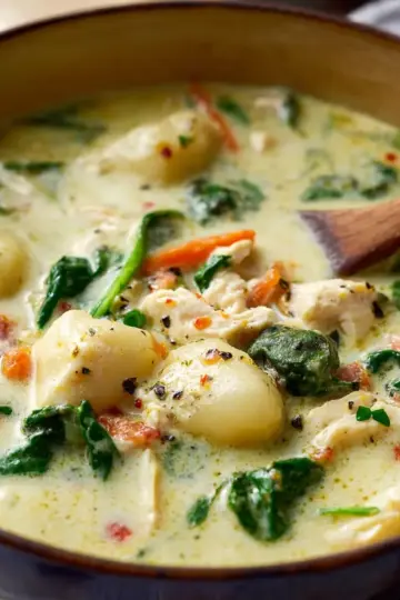 Chicken Gnocchi Soup