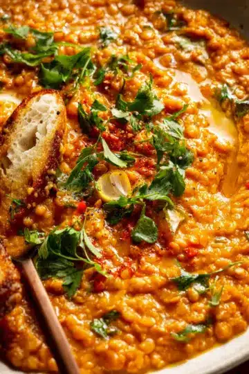 Spicy Red Lentil Curry